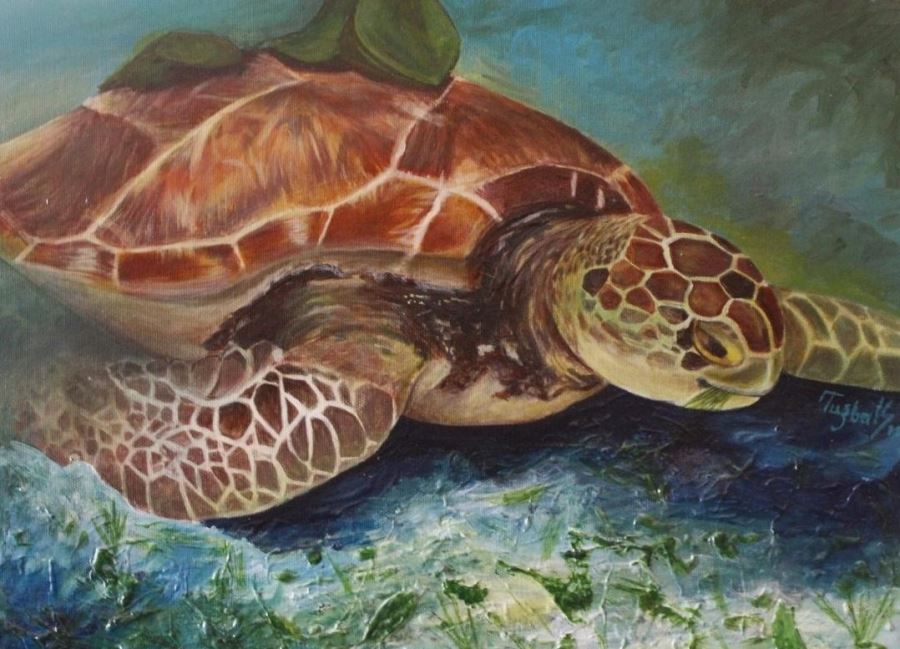 “Deniz&Su Kaplumbağaları” Sergisi Dijital Platformda