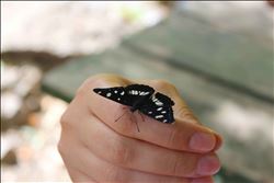 Adana Saimbeyli´de Gelecek Turizmde ile “Kendi Kelebeğini Keşfet”