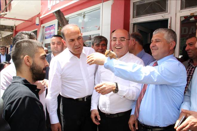 Yavru Sincap MHP’nin Maskotu Oldu