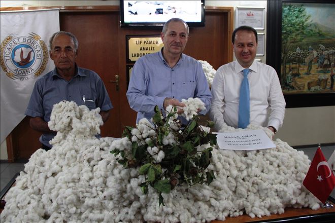 ADANA´DA SEZONUN İLK KÜTLÜ PAMUĞU  200 LİRADAN SATILDI 