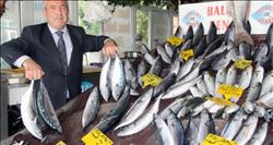 Palamut, Karadeniz´i terk edemeyince av sezonu uzadı