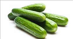 Eylül´de zam şampiyonu salatalık oldu