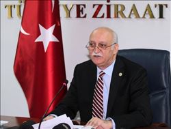  TZOB Genel Başkanı Bayraktar "Zeytinde hasat zamanı"