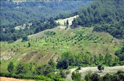 ADANA´DA 400 ÇİFTÇİ AİLEYE 2.5 MİLYON KREDİ VERİLDİ 