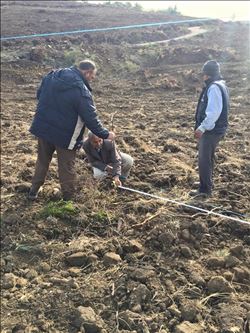 ULUÇINAR KÖYÜ´NDE ENDÜSTRİYEL PLANTASYON ÇALIŞMALARI