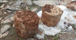 Çok sayıda mühimmat ele geçirildi