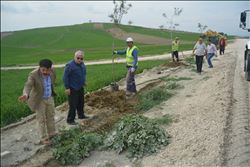  CEYHAN-SARIMAZI YOLUNDA ÇİFT TARAFLI AĞAÇLANDIRMA ÇALIŞMASI