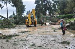  ŞİDDETLİ YAĞMUR VE FIRTINA MADDİ HASARA NEDEN OLDU, 40 AĞAÇ KÖKÜNDEN SÖKÜLDÜ 