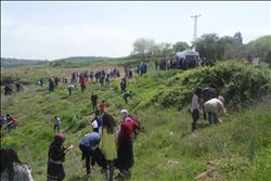 ADAY ÖĞRETMENLER FİDAN DİKTİ