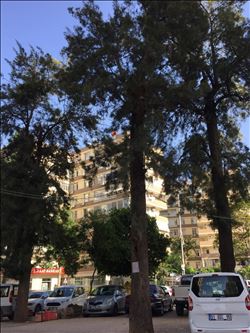 SANATÇILAR PARKI´NDAKİ AĞAÇLARIN KESİLMEMESİ İÇİN İMZA KAMPANYASI