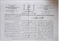 KURTULUŞ SAVAŞI GÜNLERİ (8) 