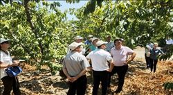 Rusya´dan turunçgil üreticisini umutlandıran ziyaret