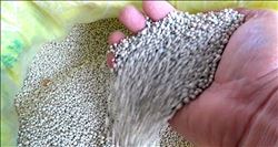 Bakanlık düğmeye bastı! Bulundurana 4 yıl hapis