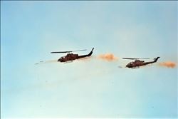 TSK´dan ´Ateş Serbest Faaliyeti-2017´ tatbikatı   