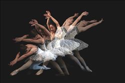 AFAD ALTIN KAMERA FOTOĞRAF YARIŞMASI SONUÇLANDI