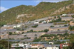  Anamur´da evden çok sera var