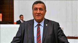 Gürer, rezerv çok olmasına rağmen kömürden enerji üretiminin  durumunu TBMM gündemine getirdi