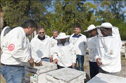 Sarıçam´da Arıcılık Kursu Başladı