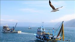 “BALIKÇILIĞIN GELECEĞİ YETİŞTİRİCİLİK VE AÇIK DENİZDE”