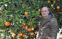 "GIDA İTHALATI ÜRETİMİ VURDU"