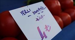 Domatesin fiyatı aldı başını gidiyor