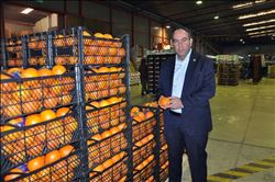 “Narenciye üreticisine verilen destek sözü yerine getirilmeli”