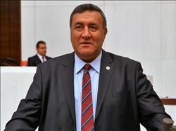 “Et ithalatı ile oluşan sorunlar araştırılmalı"