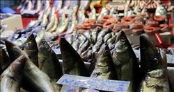 Balık fiyatları uçuşa geçti