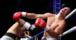 Türk boksörlerinin başarısı