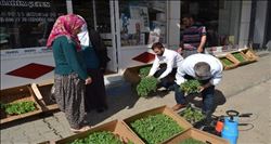 Organik tarım ürünleri vatandaşlardan yoğun talep görüyor