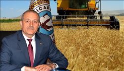 İlk Buğday Hasadı Adana´da Başladı