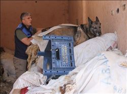 Operasyonda uyuşturucu köpeğin başarısı