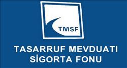 Kanal 35´in varlıkları satışa çıktı