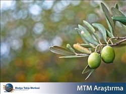 Gündem “Zeytin” 