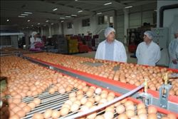 BAYRAKTAR, “YUMURTA ÜRETİCİSİ ZARAR EDİYOR”