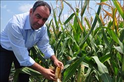  Tümer, "Mısır üreticisi kaderine terk edilemez”