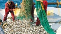 DENİZLERDE AV YASAĞI BU GECE SONA ERDİ