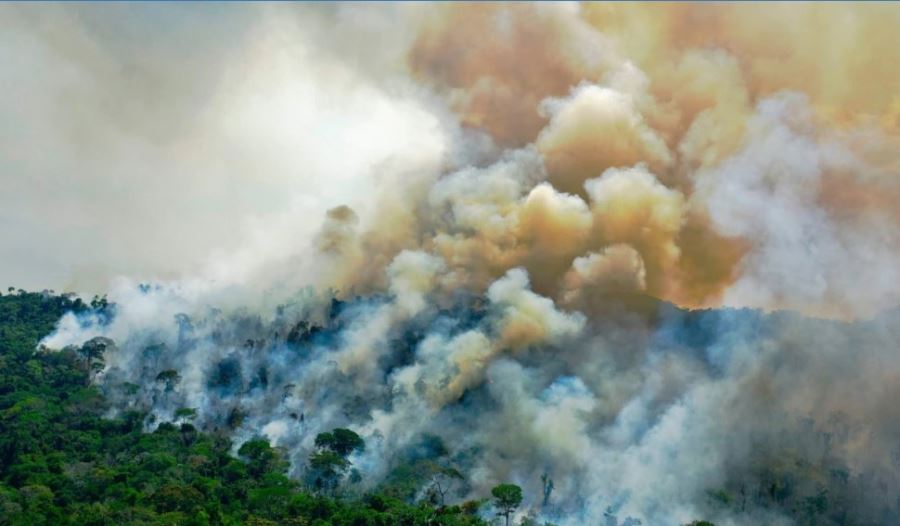 Amazon Ormanları Karbon Salımıyla Baş Edemiyor