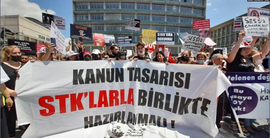 Hayvan Severler Erdoğan’dan Veto ve Söz Hakkı Talep Ediyor