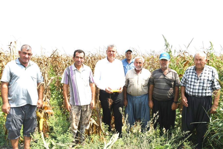 Ayhan Barut, hasat zamanı mısır üreticileriyle buluştu. (GÖRÜNTÜLÜ HABER)